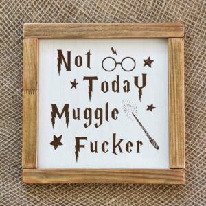 Harry Potter Not Today Humorous Sign