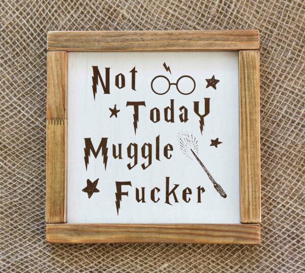 Harry Potter Not Today Humorous Sign