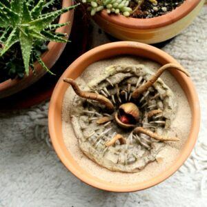 Star Wars Mini Baby Sarlacc Pit Planter