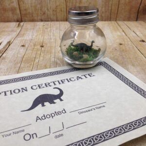 Apatosaurus Dinosaur Desk Pet With Adoption Certificate
