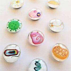 Biology Themed Glass Magnets